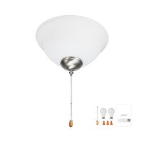 Ceiling Fan Light Kit, 750lm 3000K Bowl Shaped Fan Light Kit with Pull Chain, 2 LED Bulbs, Replacement Fixture for Living Room, Dining Room, Bedr