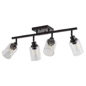 4-Lights Track Lighting Fixtures Ceiling with Clear Glass Shades, Modern Black Semi Flush Mount Ceiling Light