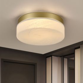 12 Inch LED Ceiling Light, 24W Flush Mount Ceiling Light,Round Low Profile Ceiling Lights for Bedroom, Living Room, Dining Room(Gold)